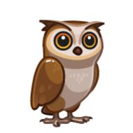 owl owl bird cartoon