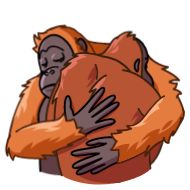sketch sketch clipart drawing