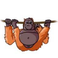 cartoon cartoon clipart