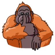 sketch sketch drawing animated cartoon