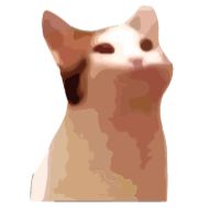 кошка кошка животное млекопитающее