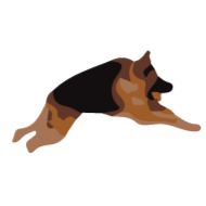 animal animal mammal dog breed