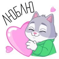 Sticker СберКот на чиле @TgSticker - 0