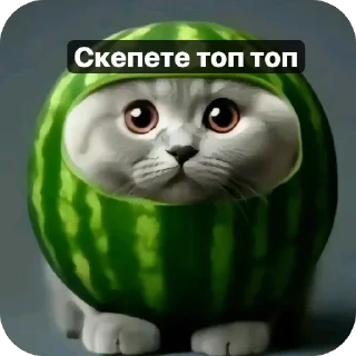 Sticker Арбуз(сделано @zigma161) - 6