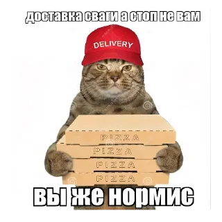 Стикер 319 - 5