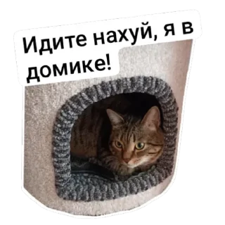 Стикер Томасяка - 0 Стикер Томасяка - 0