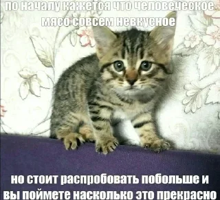Стикер Создай стики 👉 @QStickRobot - 4
