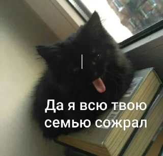 Стикер Создай стики 👉 @QStickRobot - 7