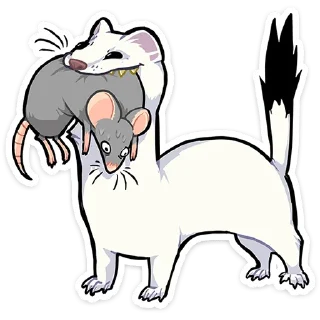 Sticker Горностай Гера • @TgSticker - 0