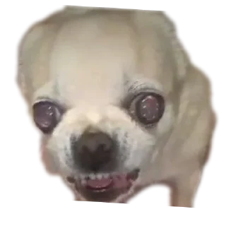 Стикер Создай стики 👉 @new_stickerbot - 10