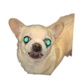 Стикер Создай стики 👉 @new_stickerbot - 11