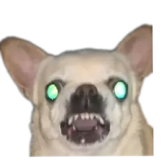 Стикер Создай стики 👉 @new_stickerbot - 5