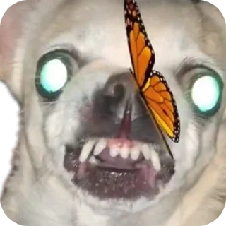 Стикер Создай стики 👉 @new_stickerbot - 4