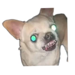 Стикер Создай стики 👉 @new_stickerbot - 6
