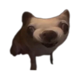 Стикер Создай стики 👉 @new_stickerbot - 0
