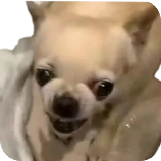 Стикер Создай стики 👉 @new_stickerbot - 9