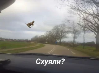Sticker Наркоманки @TgEmodziBot - 5