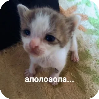 Стикер Больше стиков тут: @stikery4 - 2