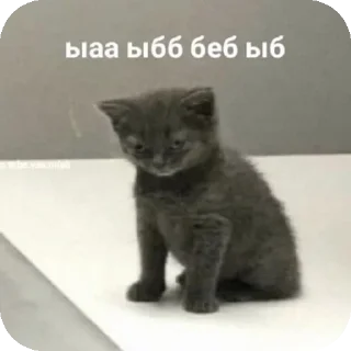 Стикер Больше стиков тут: @stikery4 - 10