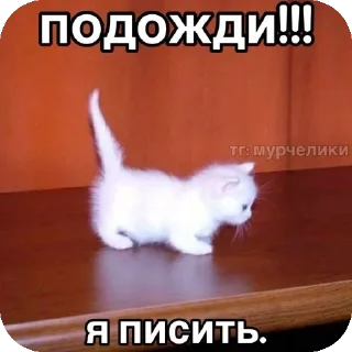 Стикер Больше стиков тут: @stikery4 - 8