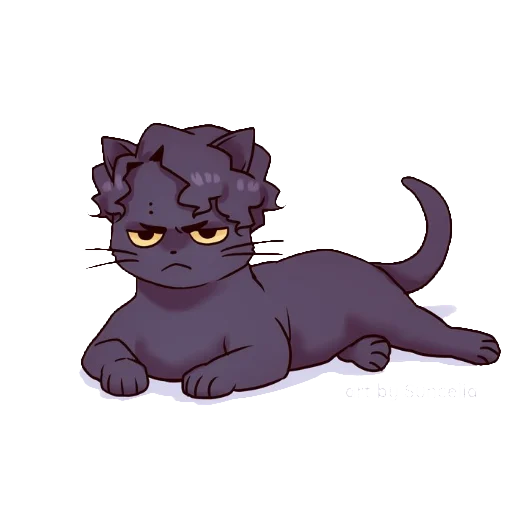 mammal mammal cat animal