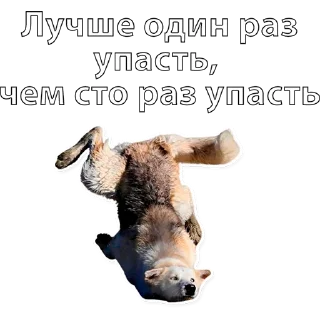 Стикер AufJoke - 0