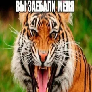 Sticker @sticksbb <— больше стиков💓💘💞 - 0