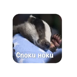 Стикер Барсук - 0