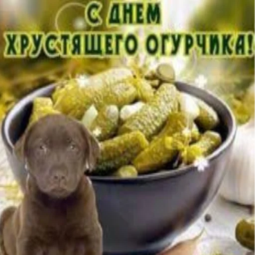 ΠΊΡΠΊΡΡΡΠ·Π° ΠΊΡΠΊΡΡΡΠ·Π° ΠΆΠΈΠ²ΠΎΡΠ½ΠΎΠ΅ ΠΊΠΎΠΌΠ½Π°ΡΠ½ΡΠΉ
