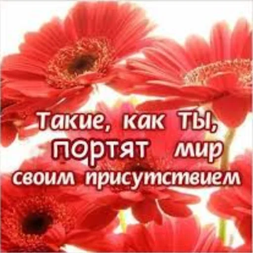 Π‘ΠΠ‘ Π‘ΠΠ‘ ΡΠ²Π΅ΡΠΎΠΊ ΡΠ°ΡΡΠ΅Π½ΠΈΠ΅