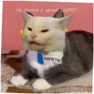 Sticker @bzzz_Kinih Автор. Добавлю ещё - 10