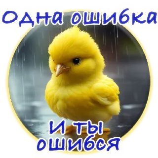 Стикер Crazy Chicken! @m_chicken - 7