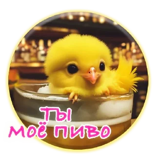 Стикер Crazy Chicken! @m_chicken - 11