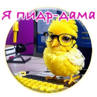 Стикер Crazy Chicken! @m_chicken - 2