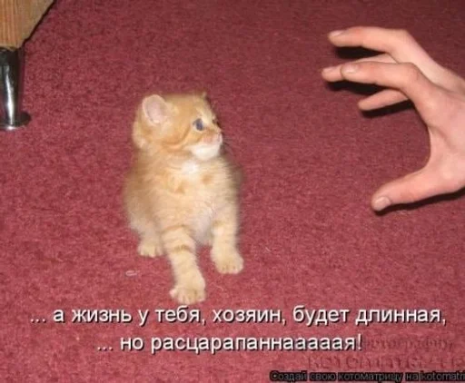 Стикер CogOrbsErect :: @fStikBot - 10
