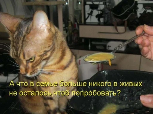 Стикер CogOrbsErect :: @fStikBot - 8