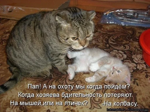 Стикер CogOrbsErect :: @fStikBot - 7