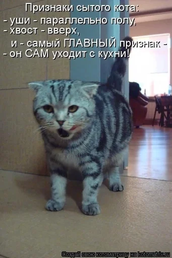 Стикер CogOrbsErect :: @fStikBot - 5