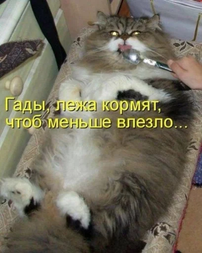 Стикер CogOrbsErect :: @fStikBot - 4