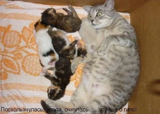 Стикер CogOrbsErect :: @fStikBot - 2