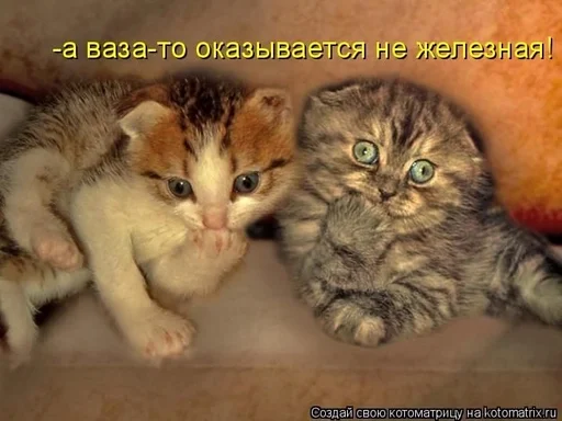 Стикер CogOrbsErect :: @fStikBot - 0