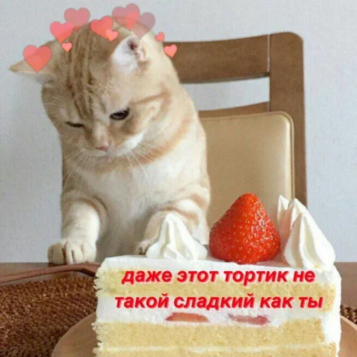 торт на день рождения торт на день рождения кошка животное