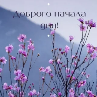 Стикер Доброе утро/Спокойной ночи ❤️ - 9