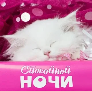 Стикер Доброе утро/Спокойной ночи ❤️ - 7