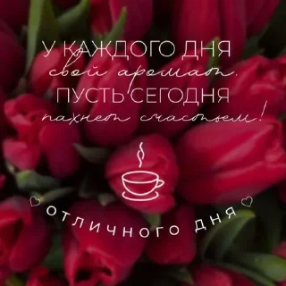 Стикер Доброе утро/Спокойной ночи ❤️ - 8