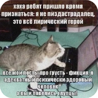 Стикер датвос жмыша - 3