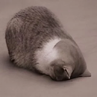 Sticker UwU - 0
