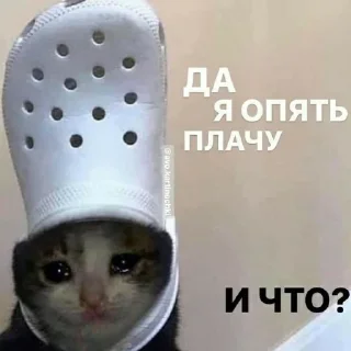 Стикер НВСЖ @Stiker3_bot @kino_botyt - 4