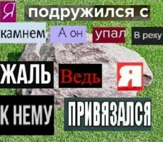 Стикер НВСЖ @Stiker3_bot @kino_botyt - 5