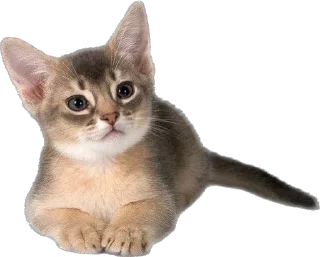 Sticker Создать стики 👉🏻 @EmojiRuBot - 0